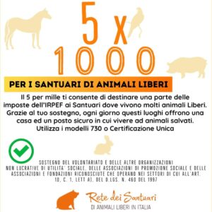 5 x 1000 Rete dei Santuari