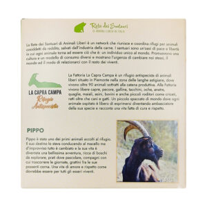 Amorino Biologico 200 gr - immagine 3