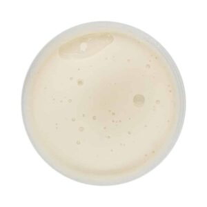 Amorino Erborinato 170 gr - immagine 5