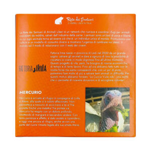 Amorino Peperoncino Bio 200 gr - immagine 3
