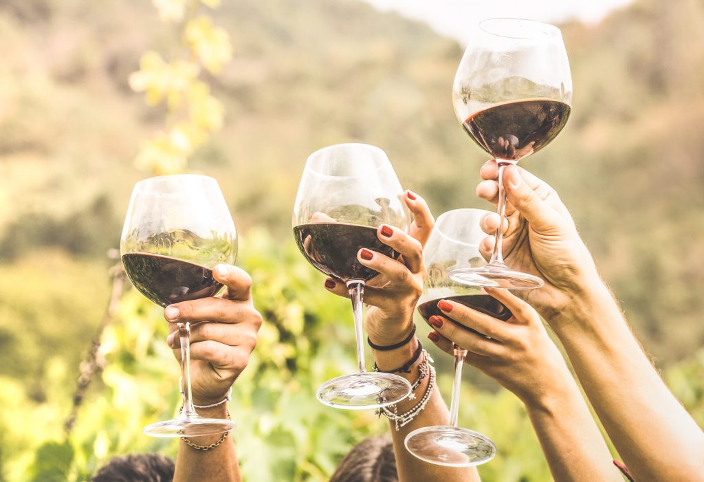 vino vegano per cena con amici